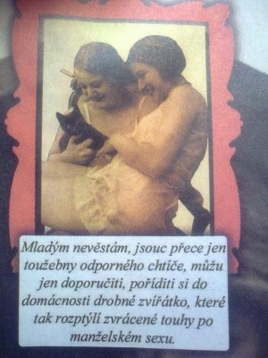 04.jpg