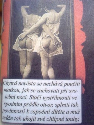 07.jpg