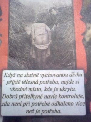 09.jpg