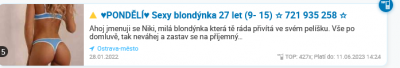 Screenshot 2022-01-31 at 16-08-51 Nabídka erotických služeb AVÍZO cz.png